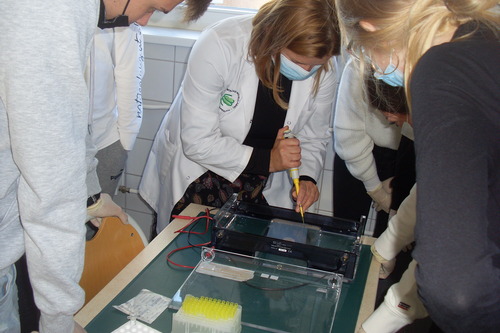 Zajęcia dydaktyczne w Instytucie Biologii