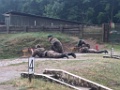 IMG-20250528-WA0034
