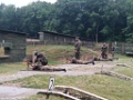 IMG-20250528-WA0042