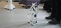 20250411_111806