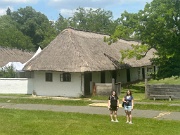 IMG_1237(1)